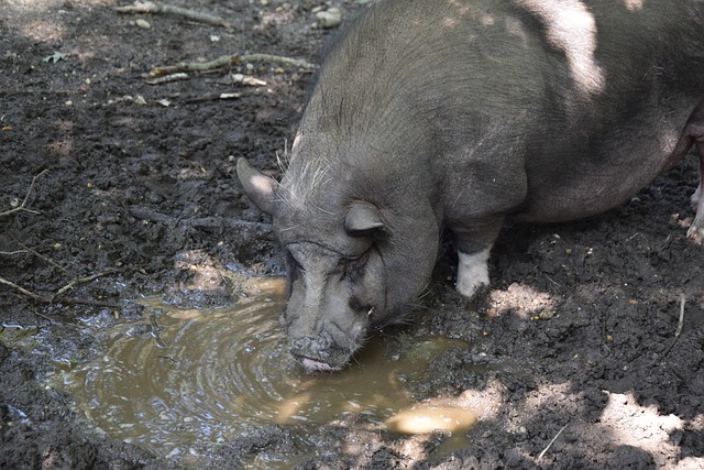 的高效组合 的高效组合