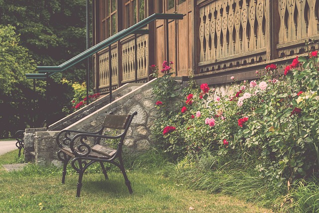 我的機會 我的機會