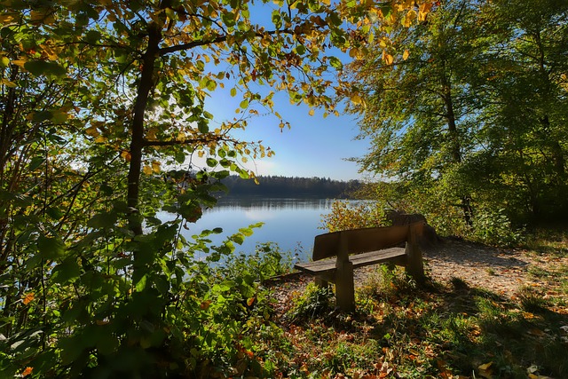 巴两队的交 巴两队的交