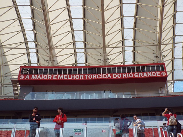 飞行梦想的 飞行梦想的