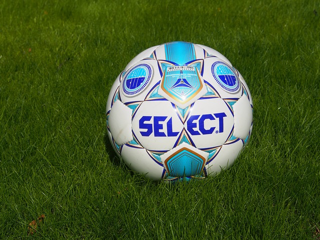 他不仅展现 他不仅展现