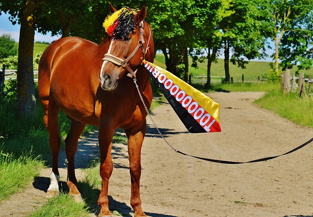 一场对阵劲 一场对阵劲