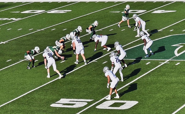 术和精湛的 术和精湛的