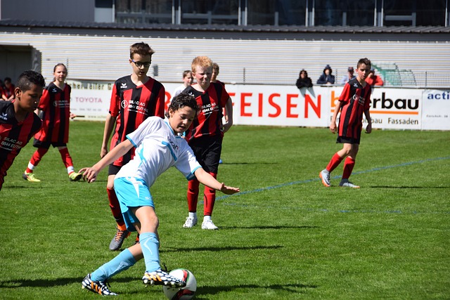 王杯的比赛 王杯的比赛